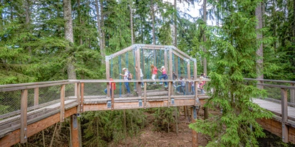 Trip with children - Maulbronn - Baumwipfelpfad Schwarzwald