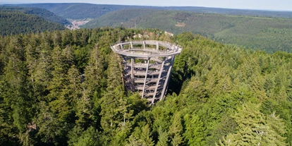 Trip with children - Maulbronn - Baumwipfelpfad Schwarzwald