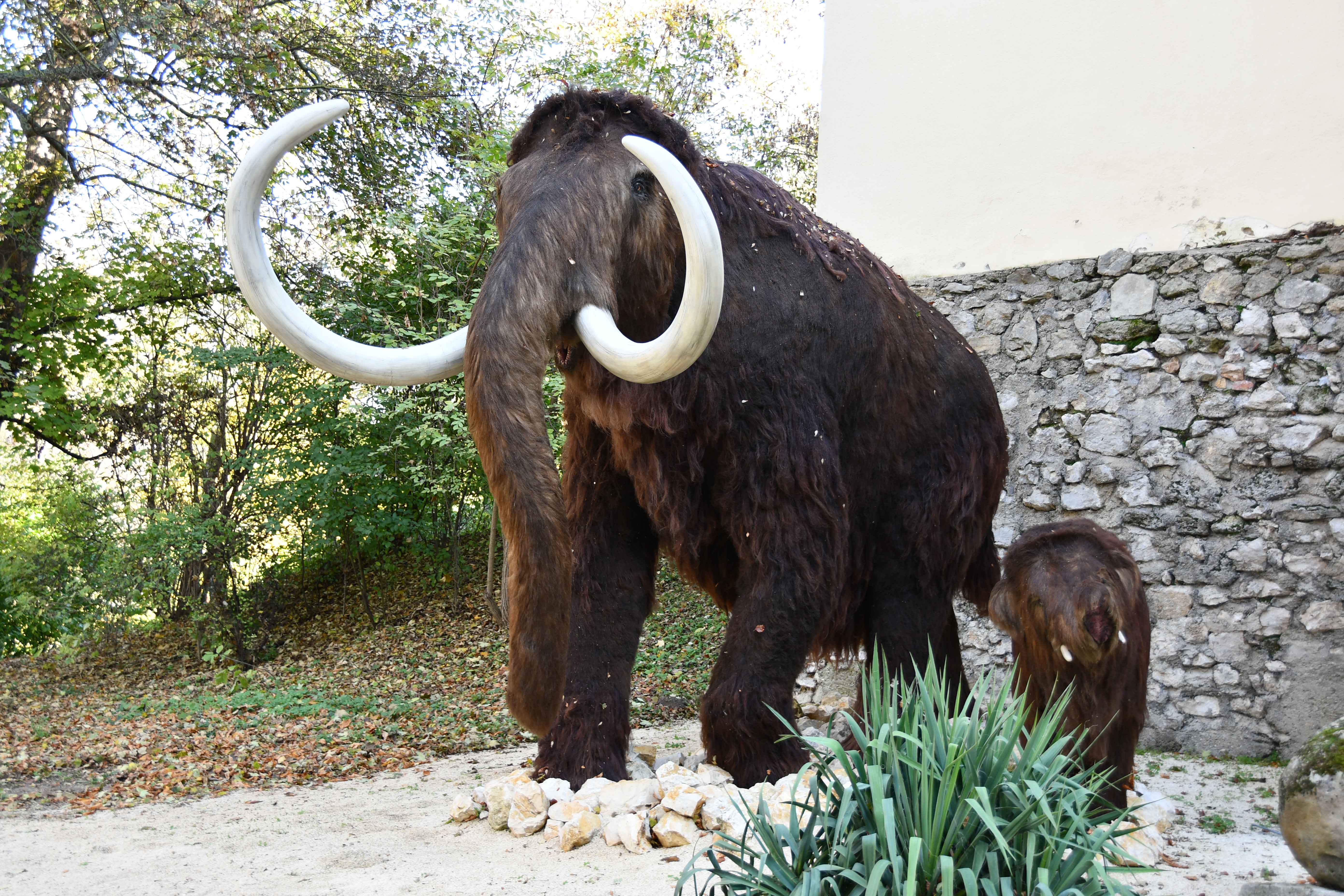 Ausflugsziel: Abenteuerführungen im MAMUZ Schloss Asparn/Zaya
