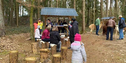 Trip with children - Ostbayern - Alpaka-Wanderung