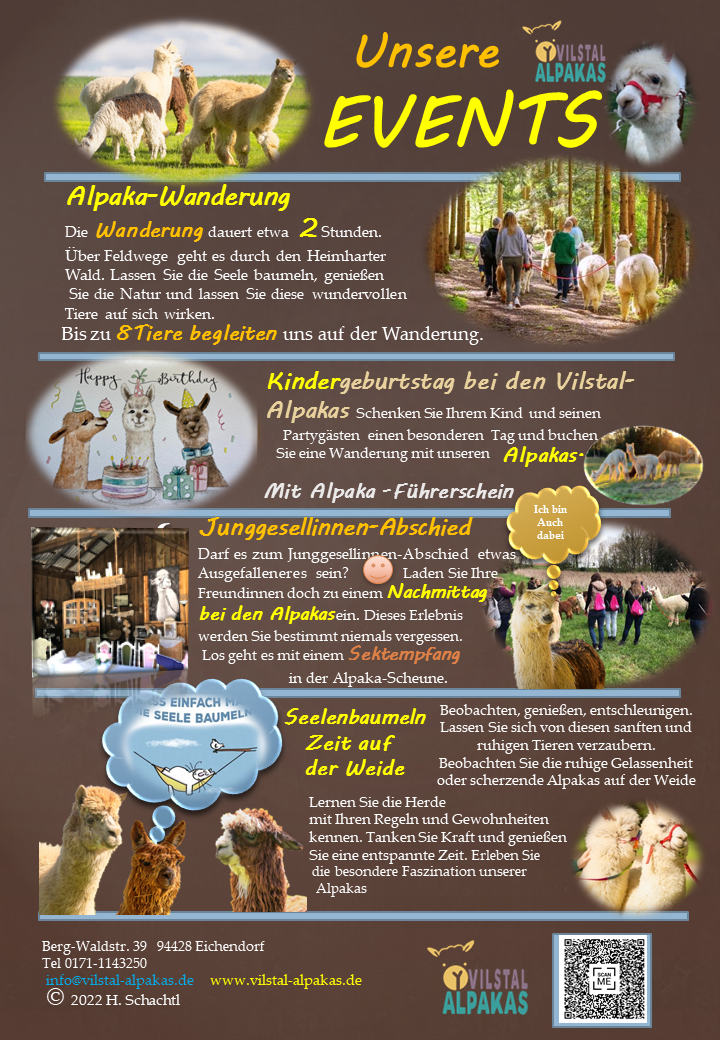 Ausflugsziel: Alpaka-Wanderung