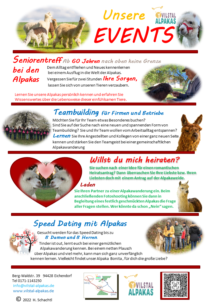 Ausflugsziel: Alpaka-Wanderung