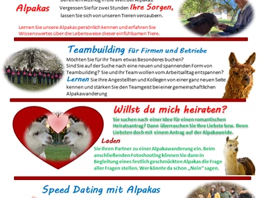 Ausflugsziel: Alpaka-Wanderung