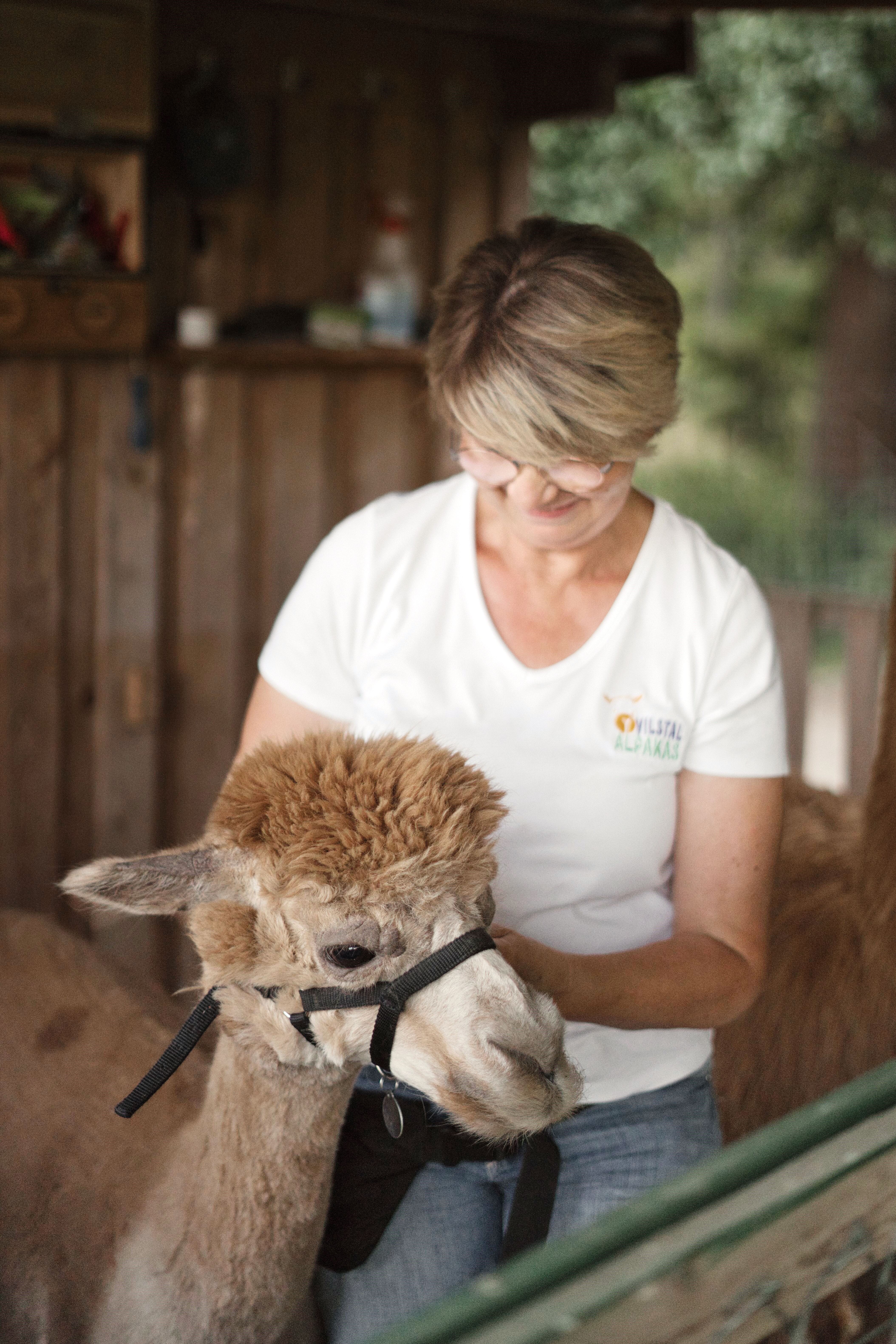 Ausflugsziel: Alpaka-Wanderung