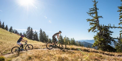 Trip with children - Sankt Michael im Lungau - Reiteralm Trails