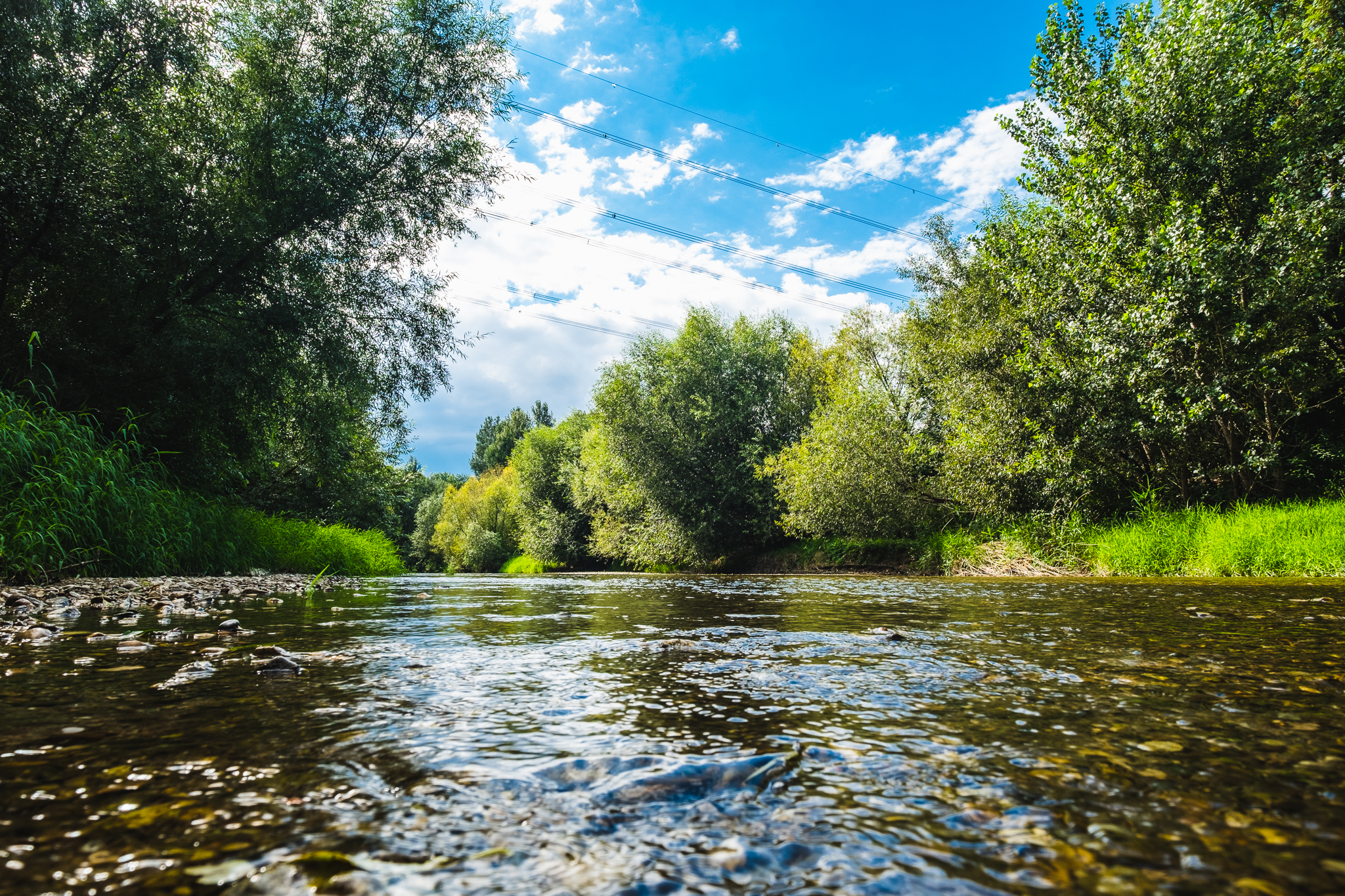 Ausflugsziel: Leithaau