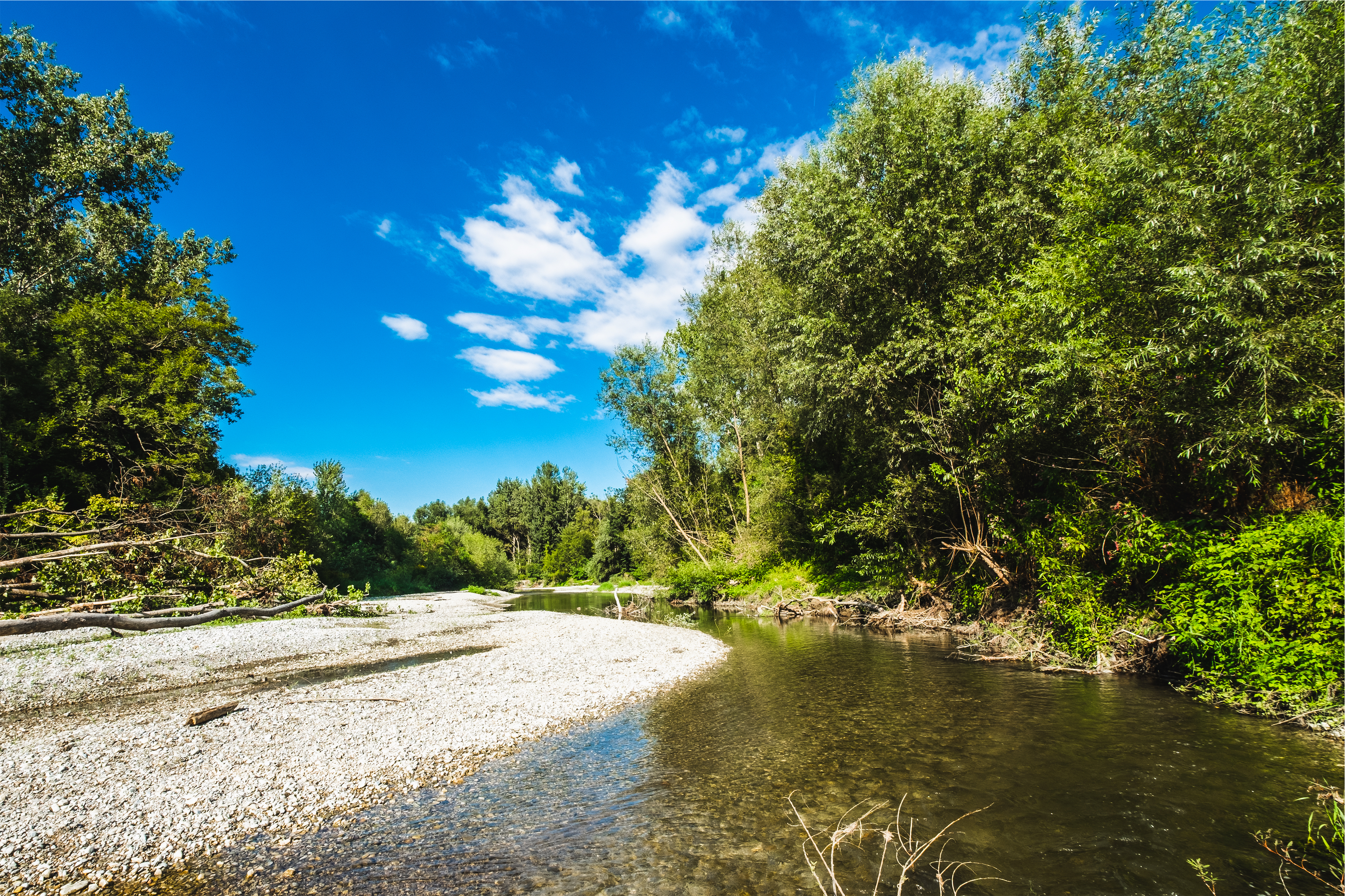 Ausflugsziel: Leithaau