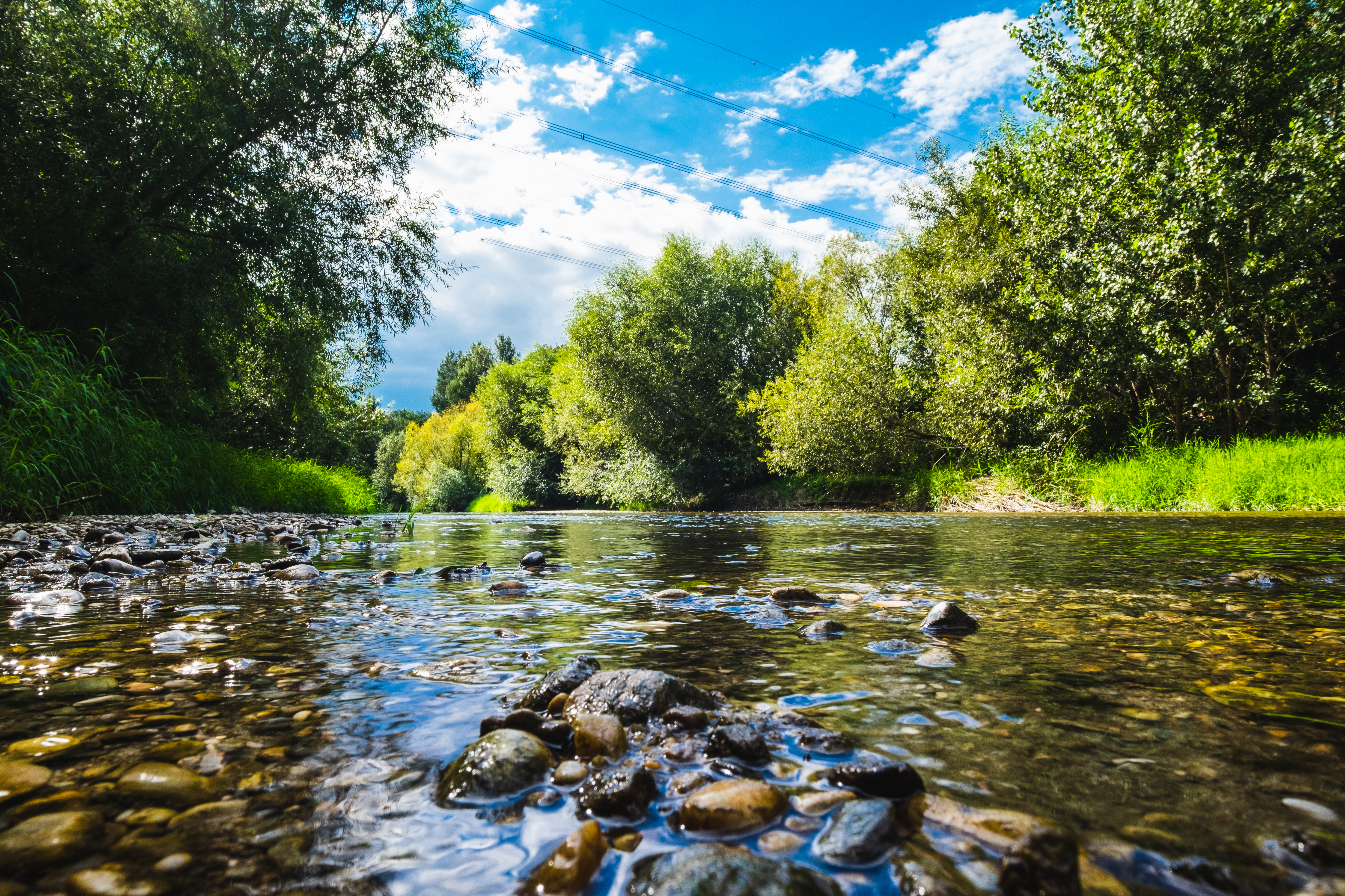 Ausflugsziel: Leithaau