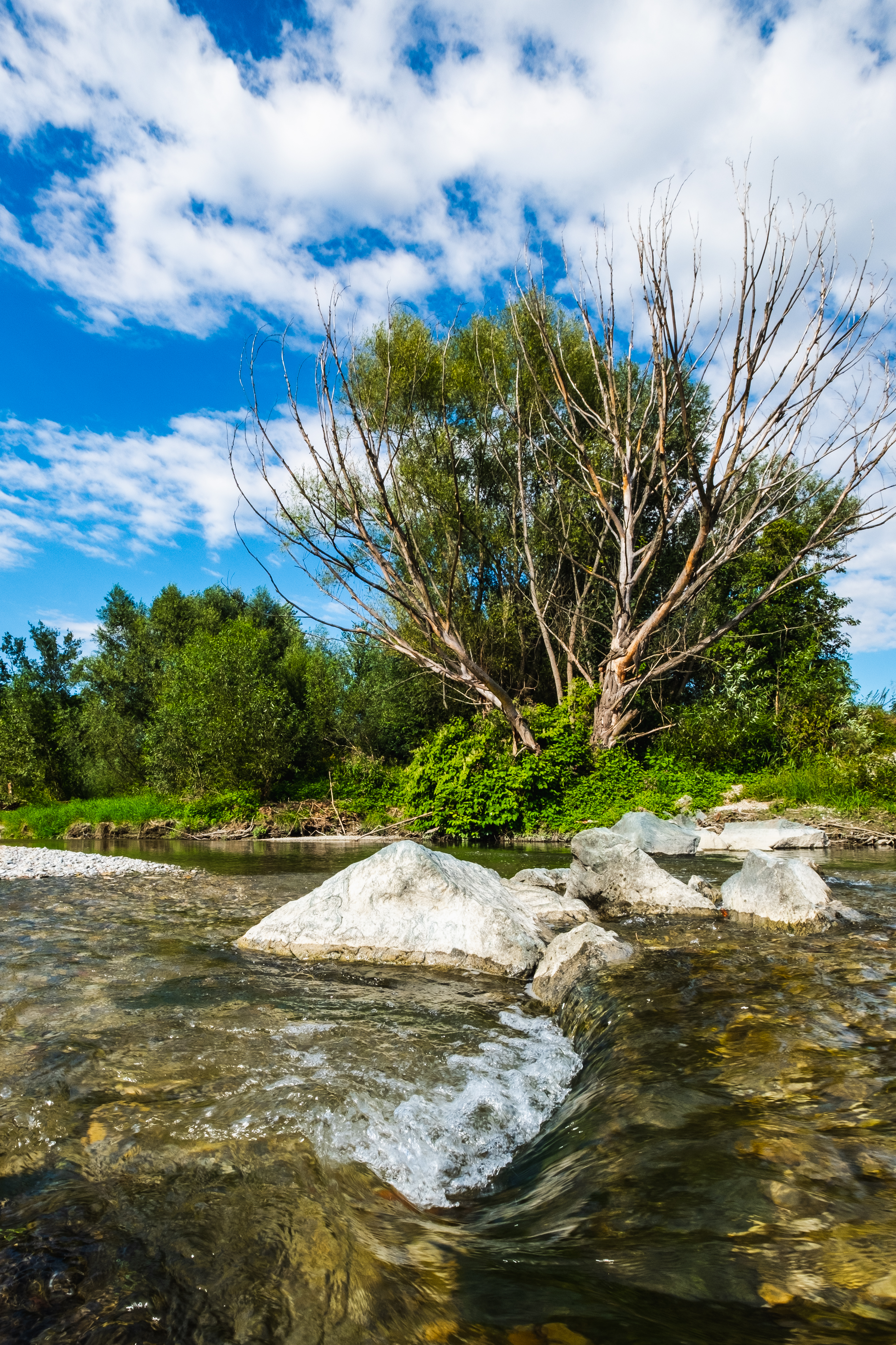 Ausflugsziel: Leithaau