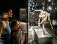 Ausflugsziel: Dinosaurier Museum Altmühltal