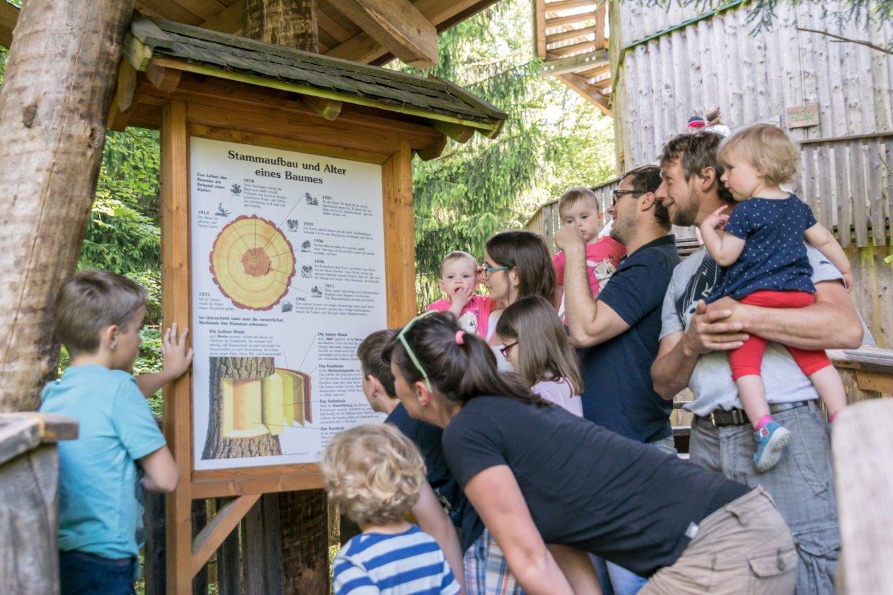 Ausflugsziel: Informationstafeln  - Baumkronenweg in der WaldEntdeckerWelt