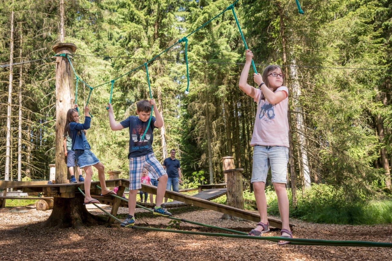 Ausflugsziel: Niederseilgarten  - Baumkronenweg in der WaldEntdeckerWelt