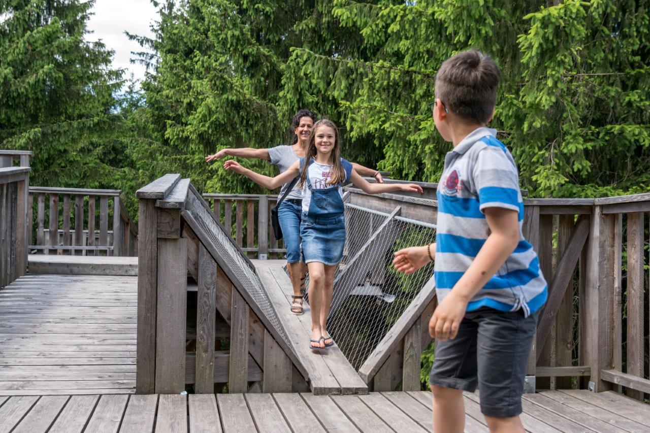 Ausflugsziel: Familie  - Baumkronenweg in der WaldEntdeckerWelt