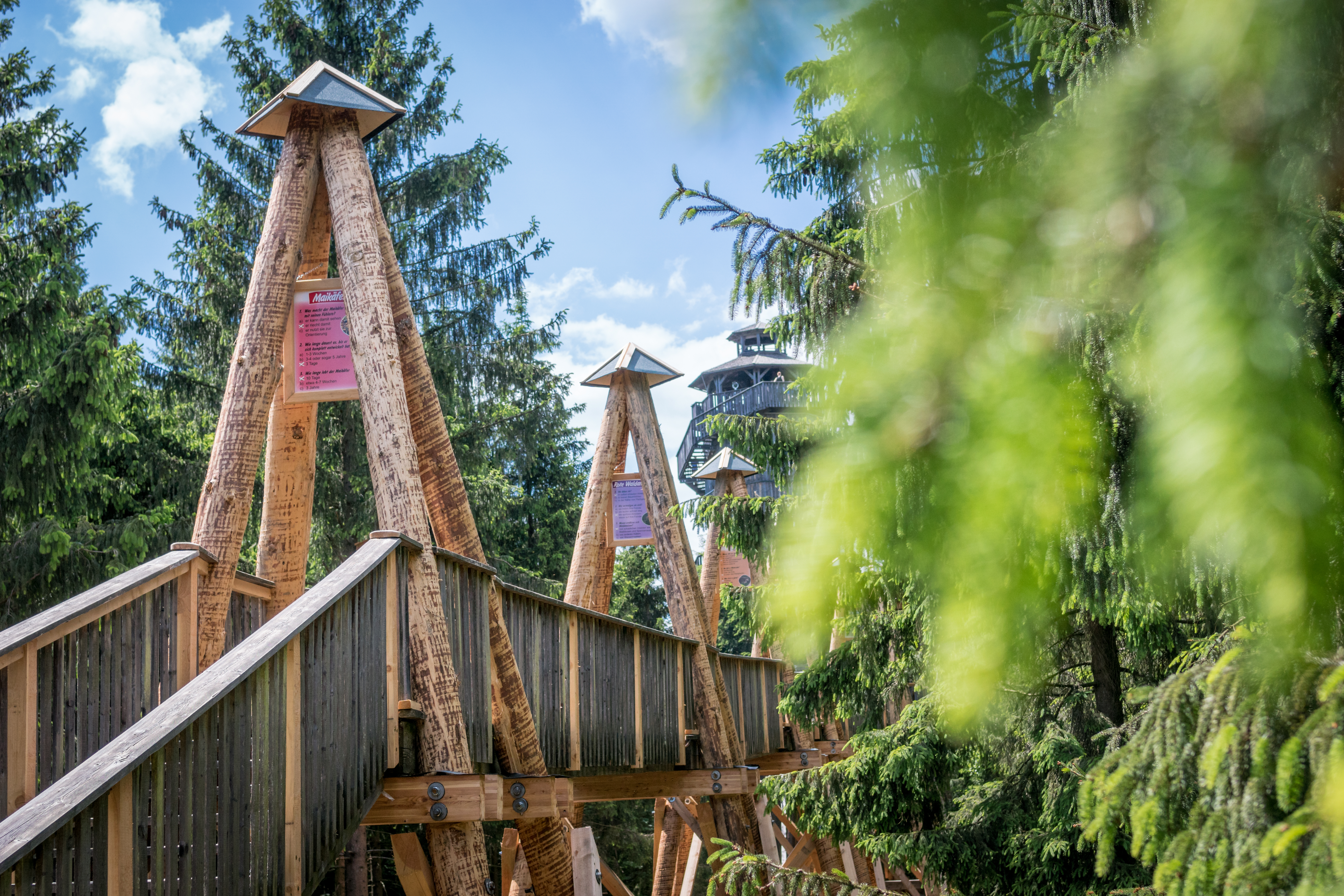 Voyage avec des enfants - Donau Oberösterreich - Baumkronenweg in der WaldEntdeckerWelt