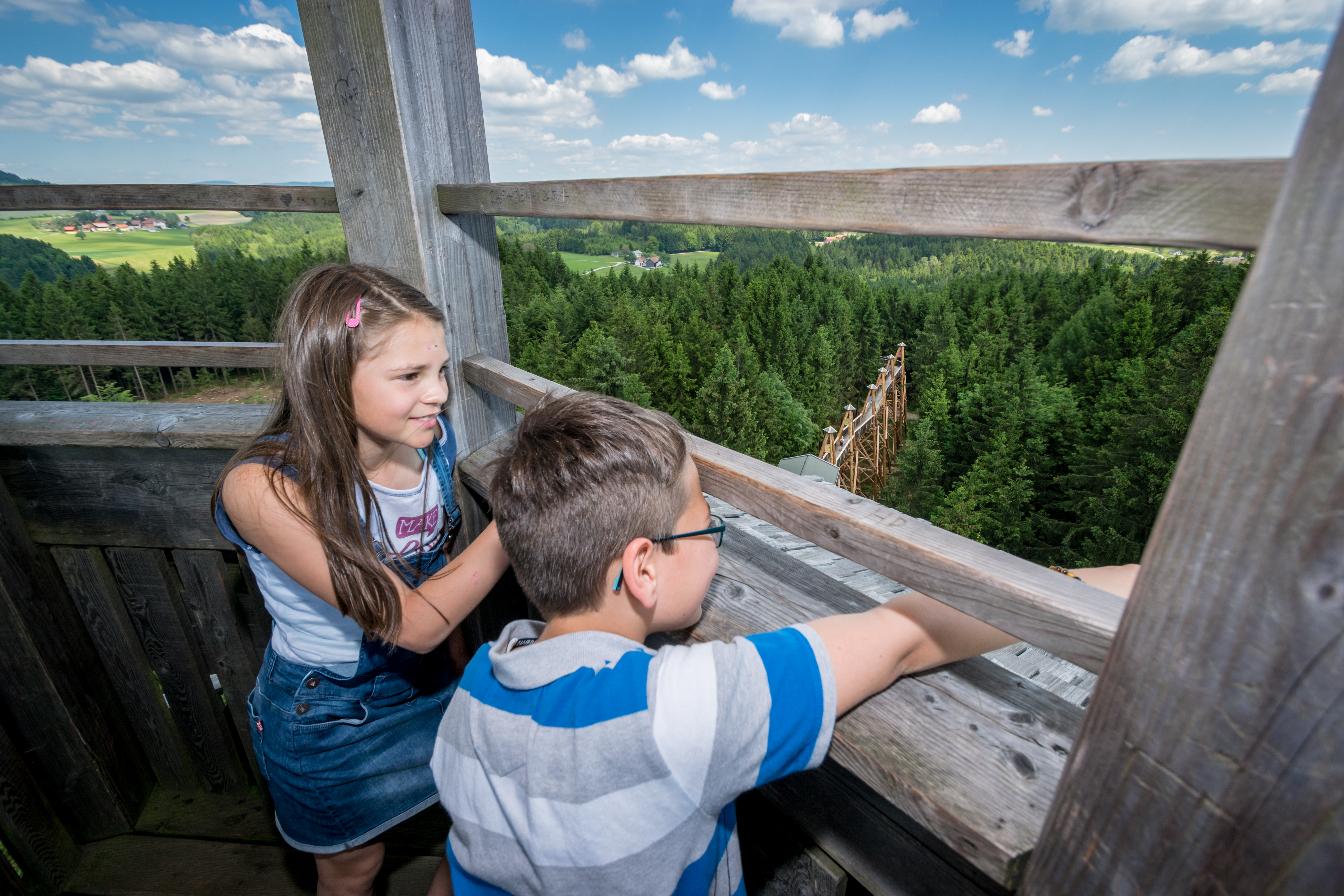Ausflugsziel: Baumkronenweg Kopfing