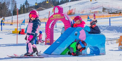 Ausflug mit Kindern - Alter der Kinder: 6 bis 10 Jahre - Österreich - Wollis Kids Park an der Talstation