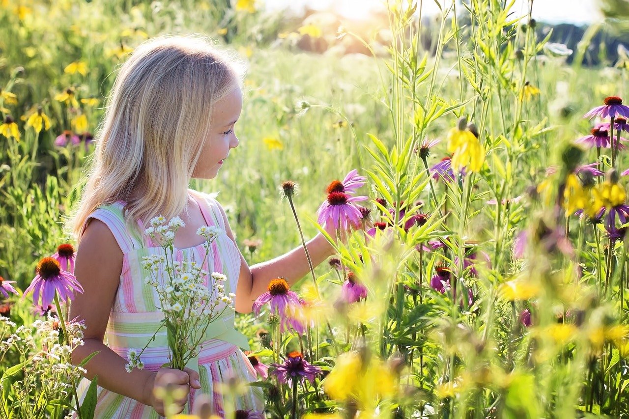Ausflugsziel: Kinderabenteuer Waldpädagogik
