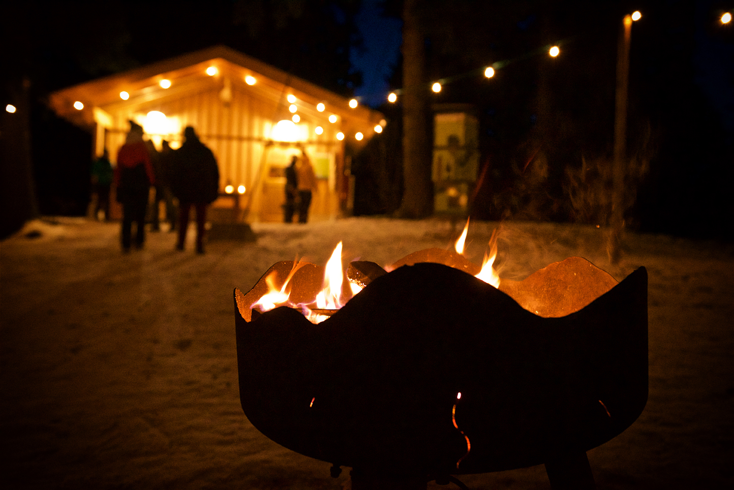 Ausflugsziel: zauberhafter Winterwald