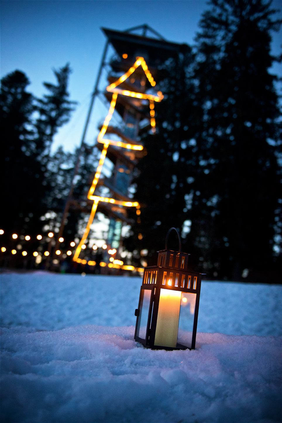 Ausflugsziel: zauberhafter Winterwald