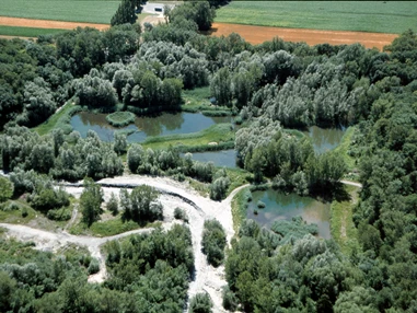 Ausflugsziel: Freiwilligeneinsatz: Neophyten bekämpfen im Schutzgebiet Siechastuden