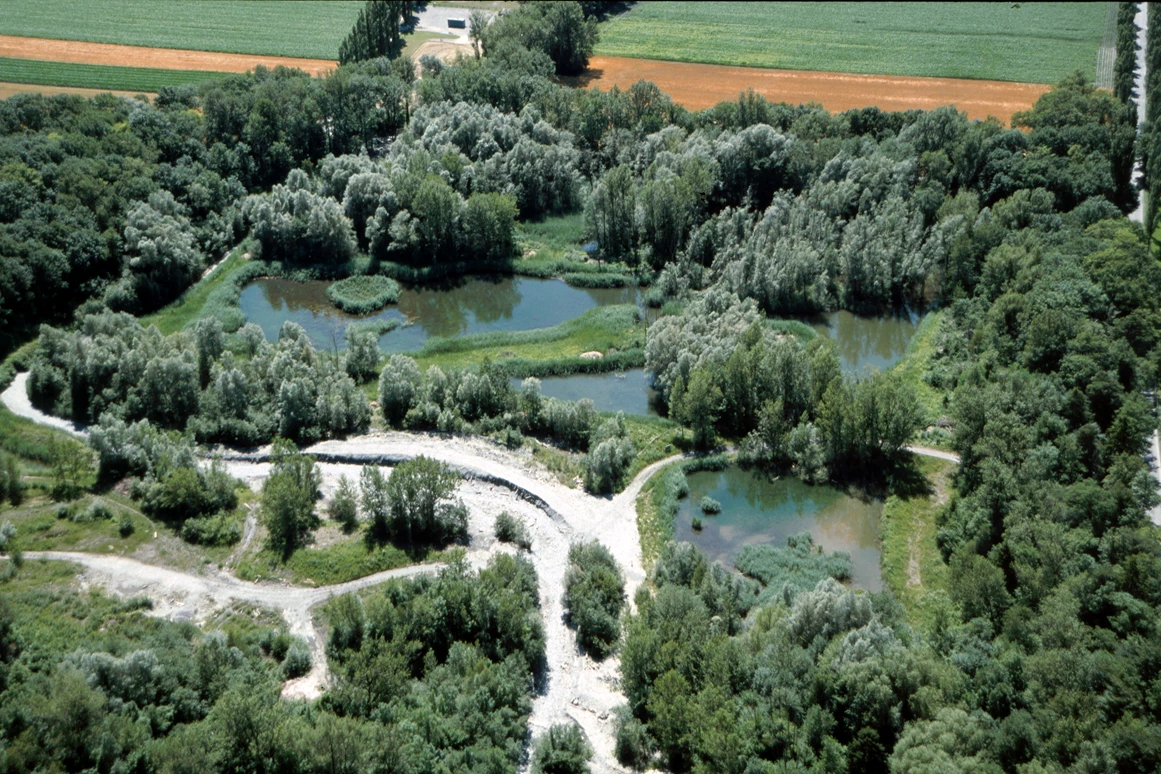 Ausflugsziel: Freiwilligeneinsatz: Neophyten bekämpfen im Schutzgebiet Siechastuden