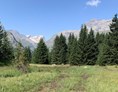 Ausflugsziel: Freiwilligeneinsatz: Heu rechen auf der Alp Flix