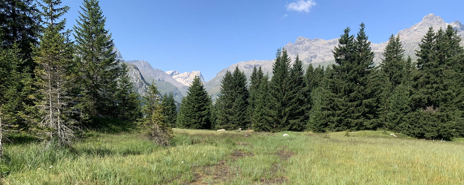 Trip with children - Tschiertschen - Freiwilligeneinsatz: Heu rechen auf der Alp Flix