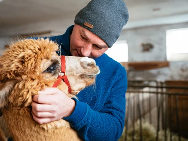 Ausflugsziel: Alpakawanderung mit Ostereiersuche
