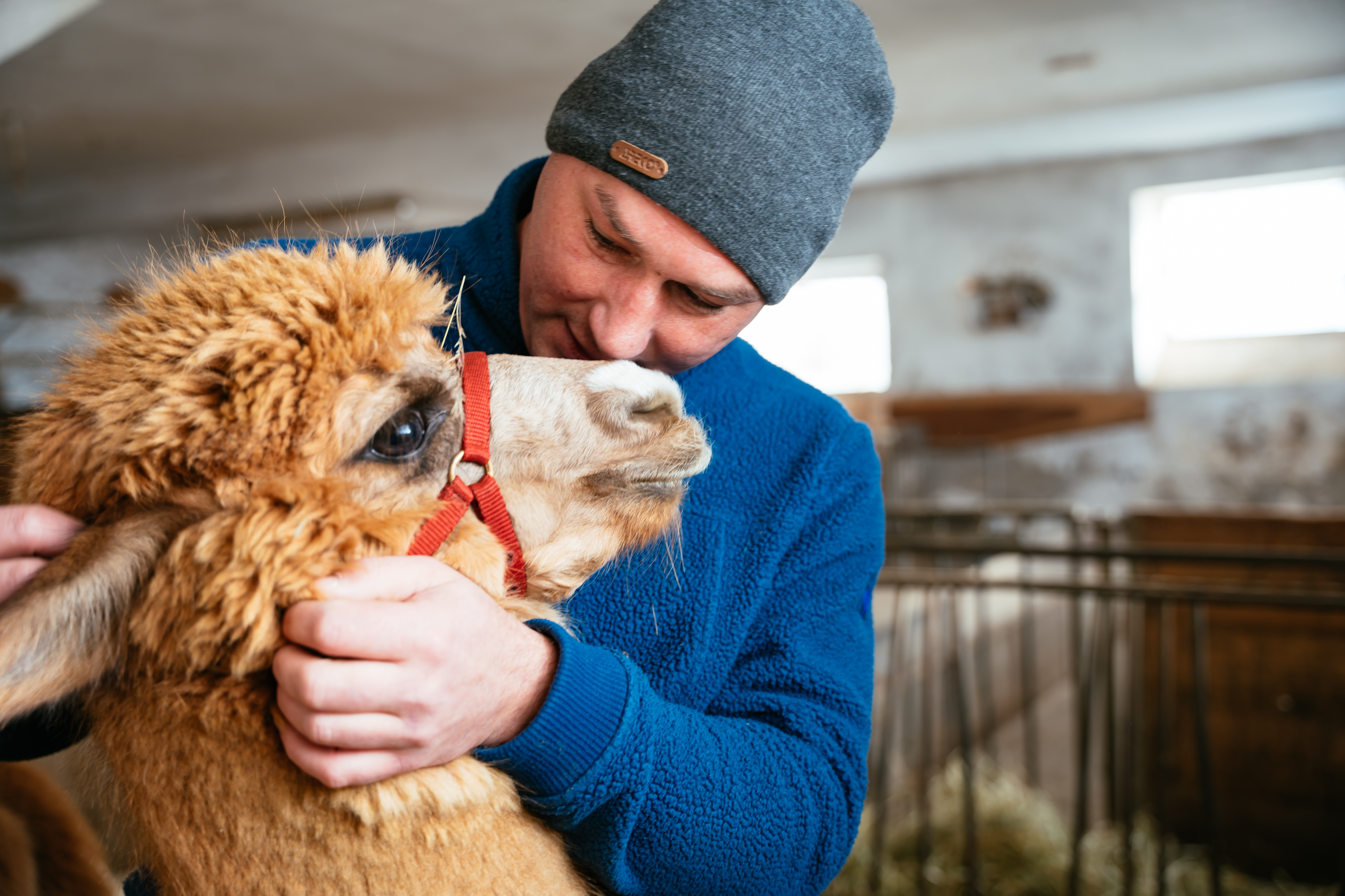 Reis met kinderen - Alter der Kinder: 4 bis 6 Jahre - Vorderberg - Alpakawanderung mit Ostereiersuche 