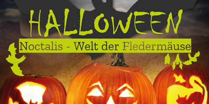 Ausflug mit Kindern - erreichbar mit: Fahrrad - Schleswig-Holstein - Halloween im Reich der Fledermäuse