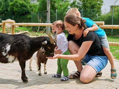 Ausflugsziel: Wildfreizeitpark Oberreith