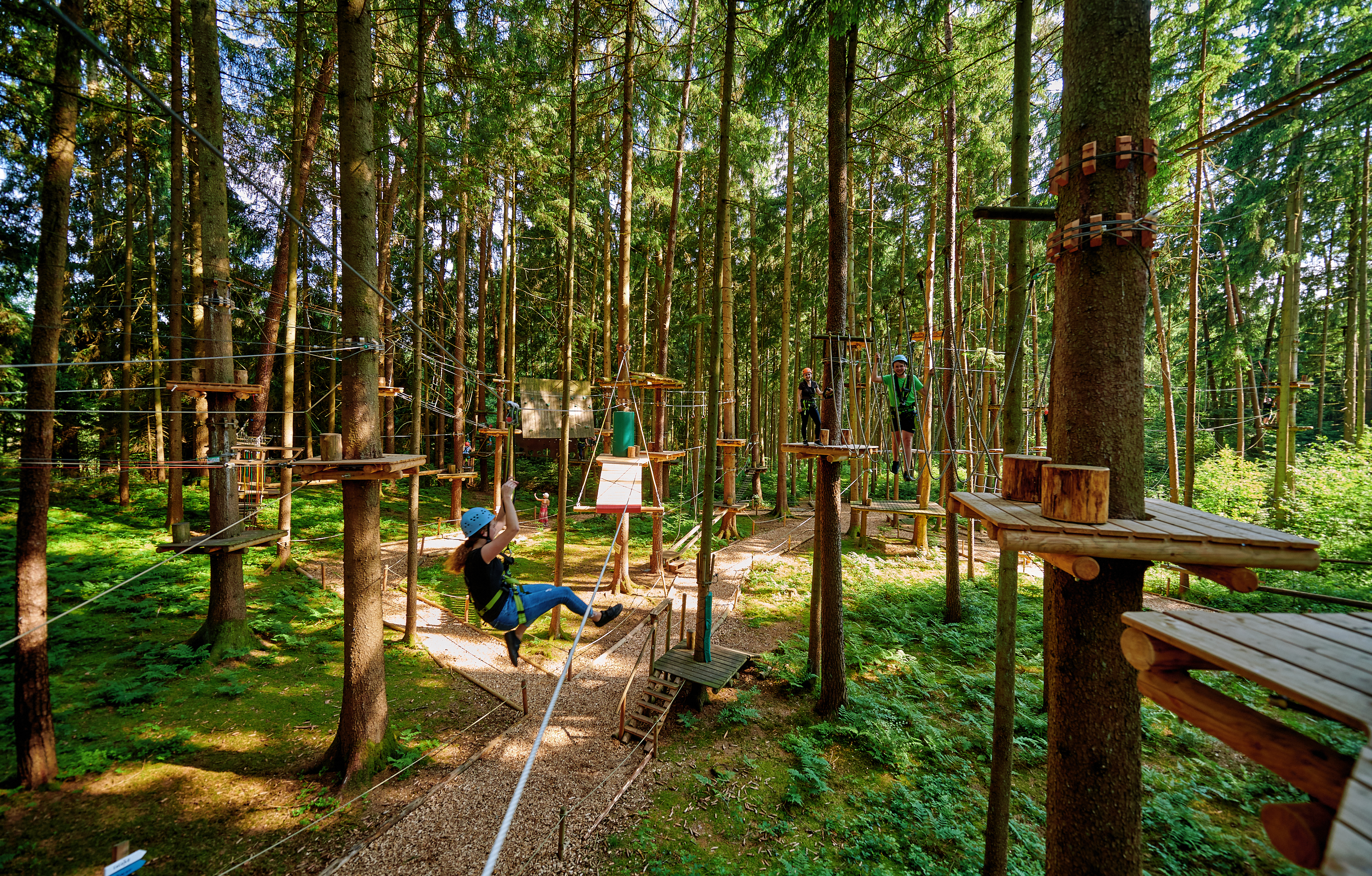 Ausflugsziel: Waldseilgarten Oberreith