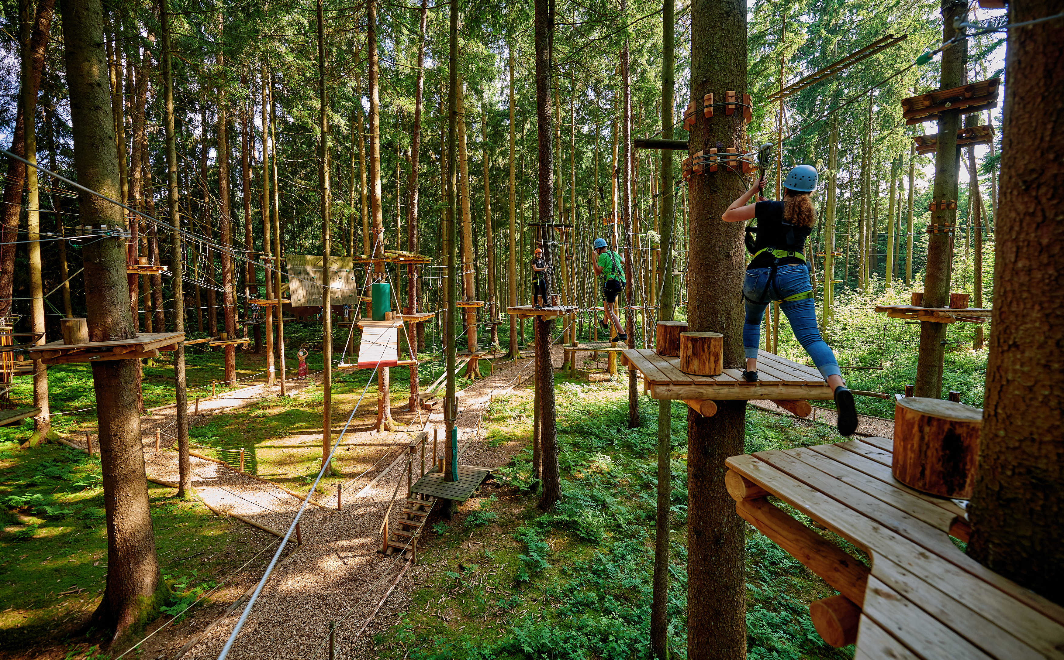 Ausflugsziel: Waldseilgarten Oberreith