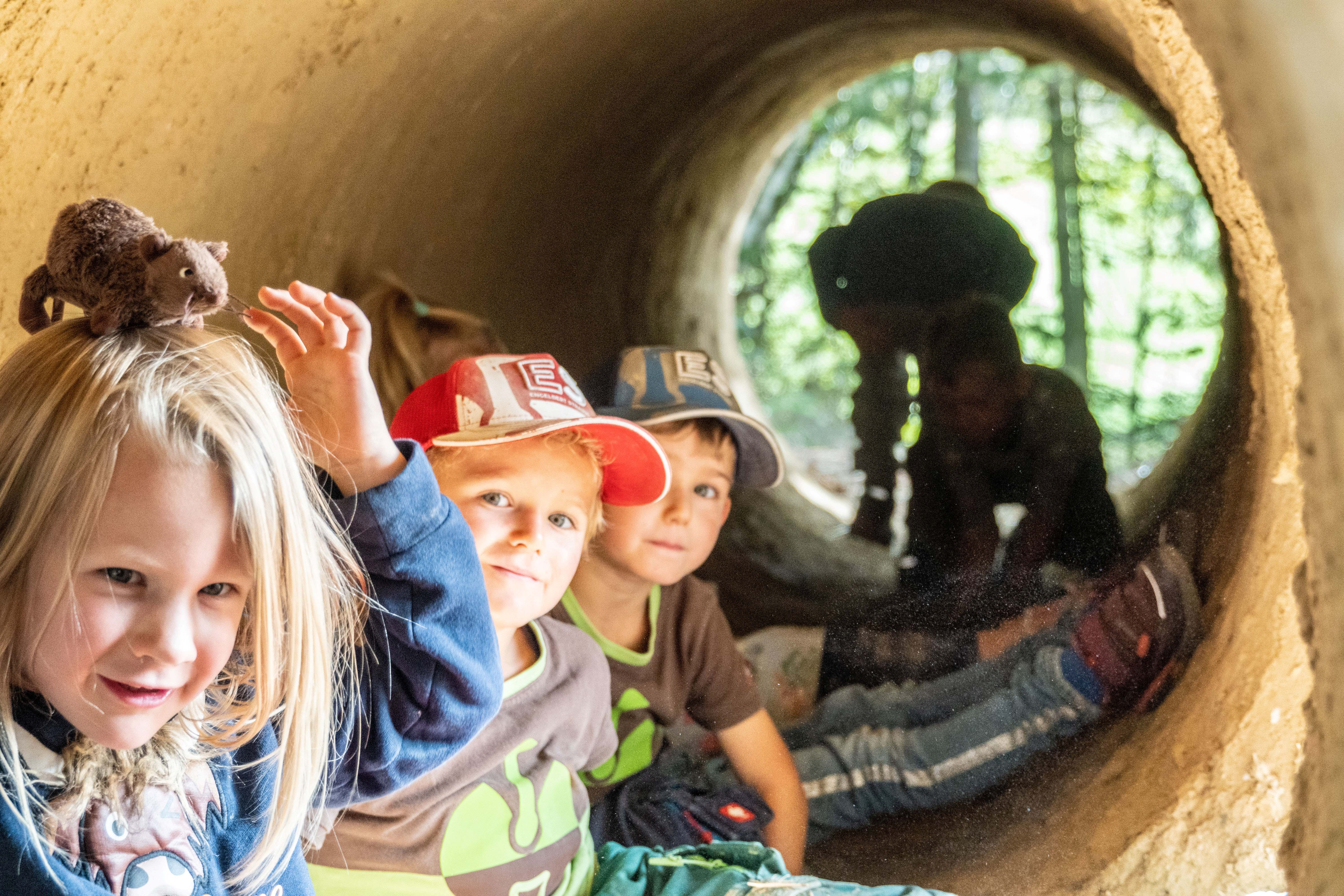Viaggio con bambini - Witterung: Schönwetter - Baden-Württemberg - Kinder-Erlebnispfad Dachsweg