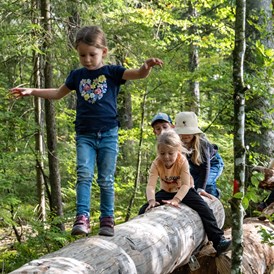 Ausflugsziel: Kinder-Erlebnispfad Dachsweg