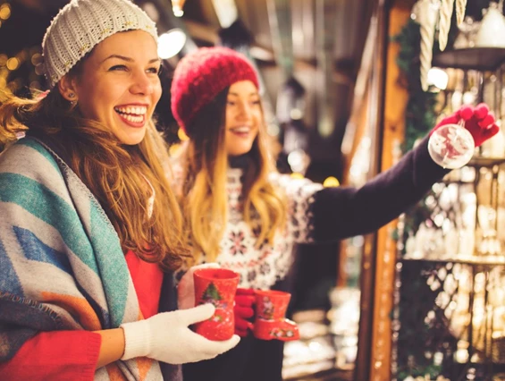 Ausflugsziel: Weihnachtsmarkt, Adventmarkt, Christkindlmarkt in Kirchstetten - Advent im Schloß Kirchstetten