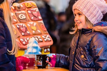 Ausflugsziel: Weihnachtsmarkt, Adventmarkt, Christkindlmarkt in Wiener Neudorf - Advent im und rund um das Migazzi-Haus