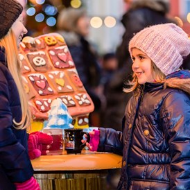 Ausflugsziel: Weihnachtsmarkt, Adventmarkt, Christkindlmarkt in Traismauer - Advent im Schloss Traismauer