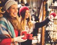 Ausflugsziel: Weihnachtsmarkt, Adventmarkt, Christkindlmarkt in Waidhofen/Ybbs - Flammende Lichterweihnacht im Rothschildschloss