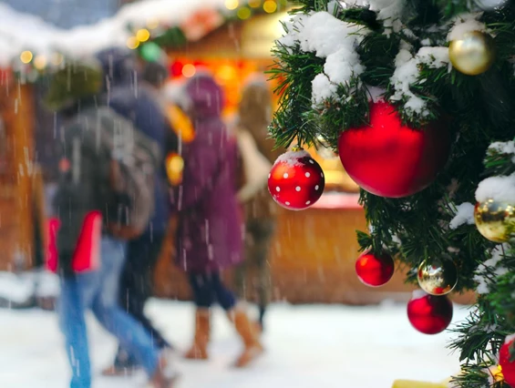 Ausflugsziel: Weihnachtsmarkt, Adventmarkt, Christkindlmarkt in Kefermarkt - Weinberger Schloss Advent