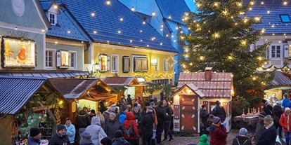 Trip with children - PLZ 3350 (Österreich) - Steinbacher Advent