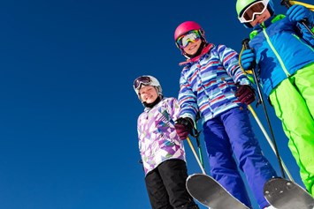 Ausflugsziel: Symbolbild für ein Skigebiet - Zillertal Arena