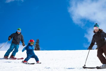 Ausflugsziel: Symbolbild Skifahren - Skigebiet Fendels