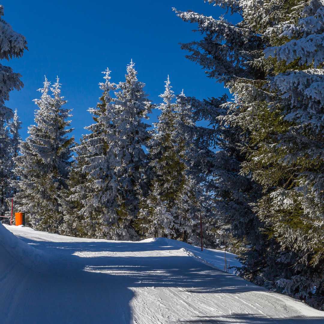 Voyage avec des enfants - Themenschwerpunkt: Bewegung - Höfen (Höfen) - Symbolbild für Skifahren - Skiarena Berwang - Zugspitz Arena