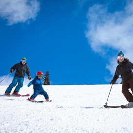 Ausflugsziel: Symbolbild für ein Skigebiet - Skigebiet Hochkar