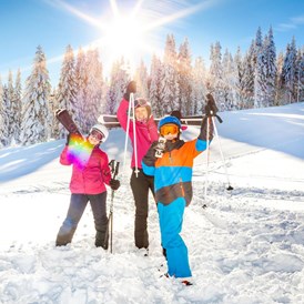 Ausflugsziel: Symbolbild für Skifahren - Skigebiet Vent