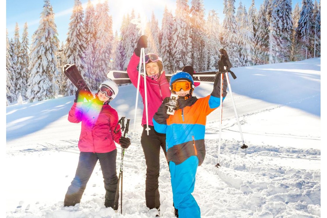 Ausflugsziel: Symbolbild für Skifahren - Skigebiet Vent