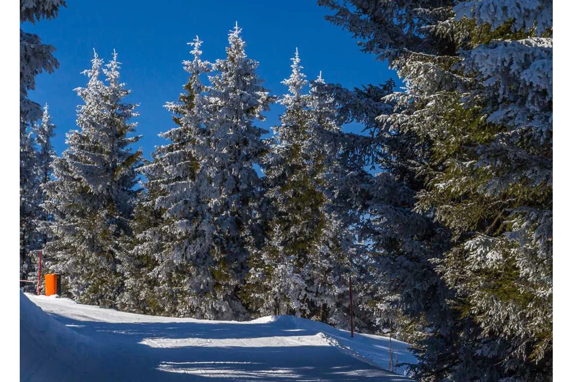 Ausflugsziel: Skigebiet Burglift Stans