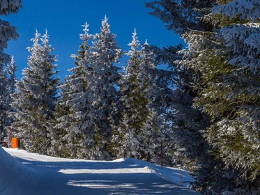 Ausflugsziel: Symbolbild für Skifahren - Skigebiet Emberger Alm