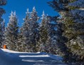 Ausflugsziel: Symbolbild für Skifahren - Skigebiet Emberger Alm